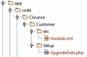 Module Setup Folder Structure